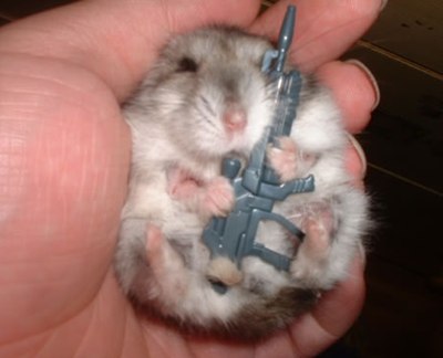 armed-baby-hamster.jpg